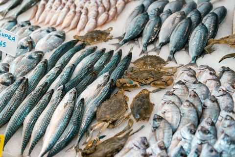 Pesce per neonati nello svezzamento: quando introdurlo